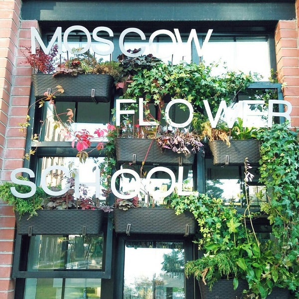 салон цветов why not. утопия бьюти бар. Why not омск. Why not кафе трехпрудный.