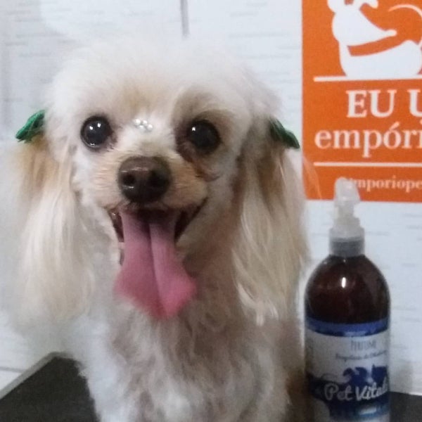 1/12/2016에 Suzana L.님이 Pet Salon Suzana Lopes에서 찍은 사진