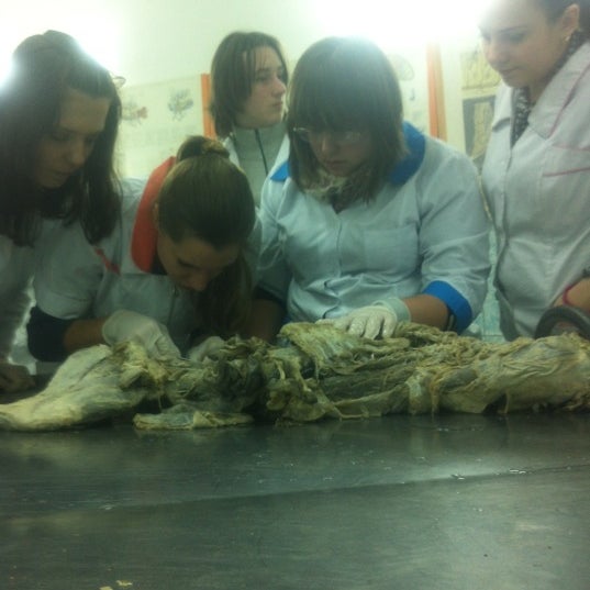 Анатомический музей самара. Кафедра анатомии животных. Анатомический музей троицк институт. Анатомический музей самара экскурсия. Темы проектов связанные с гистологией.