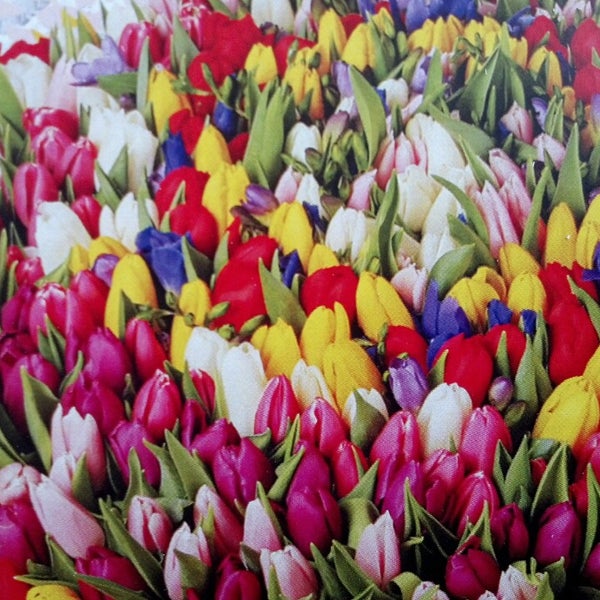 รูปภาพถ่ายที่ AMF (flower delivery company) office โดย Ekaterina K. เมื่อ 3/14/2013