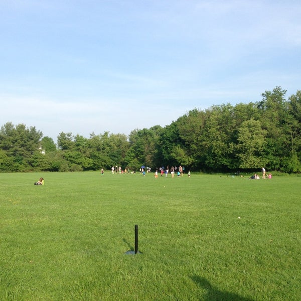 Рапсовое поле. Здание в поле. Пшеничное поле с мельницей. Ирландия мельница. Build fields.