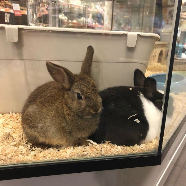 Photo taken at Pets Place by Xenia K. on 4/30/2018