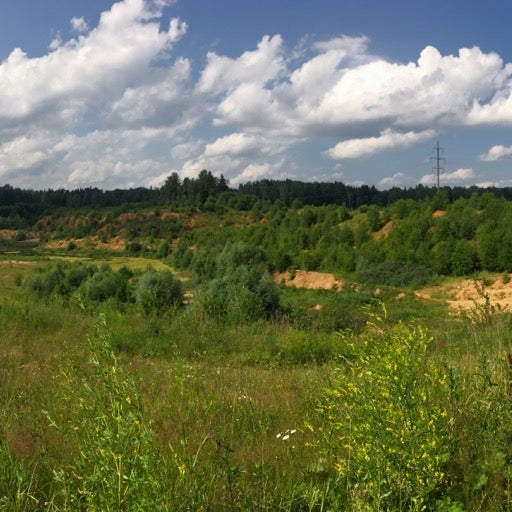 Шарапово 67. Школа шарапово чеховский район. Шарапово 67. Район пыхтино москва. Шарапово на карте.