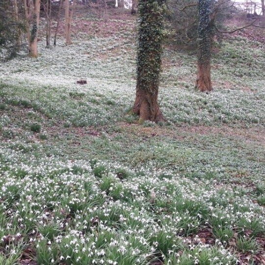 Photo prise au Painswick Rococo Garden par Volodymyr S. le3/10/2013