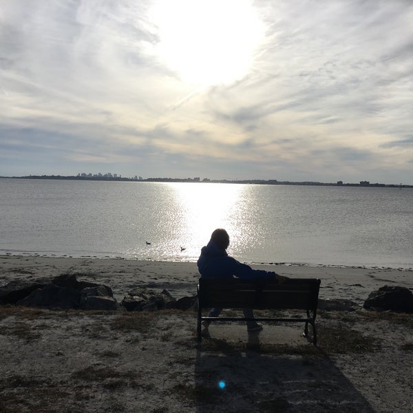 Does Nahant Beach Allow Dogs