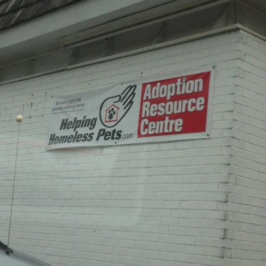 Helping homeless Pets Markham, ON