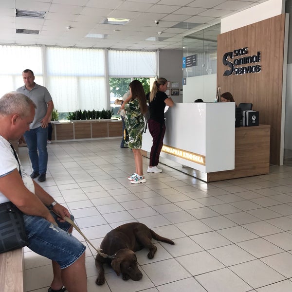 Сас энимал сервис. Сас энимал сервис