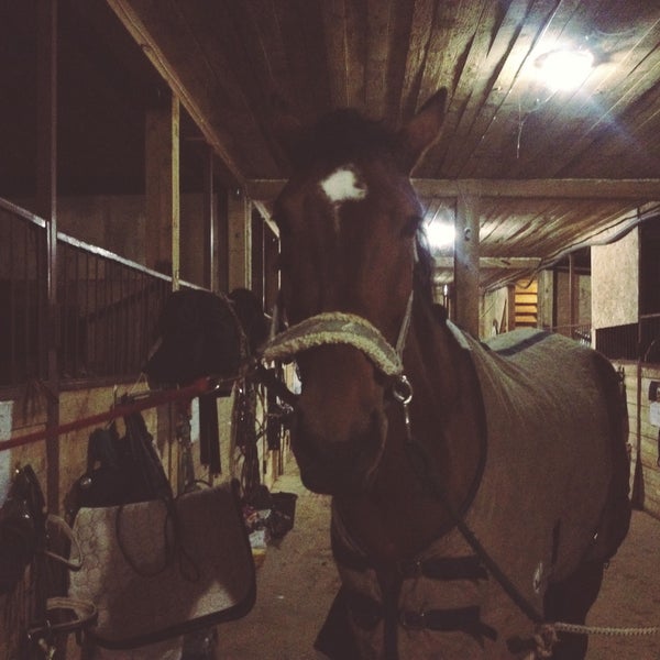 Альтис алабушевская ул 19 стр 13 фото КСК Новая Галактика - Stable
