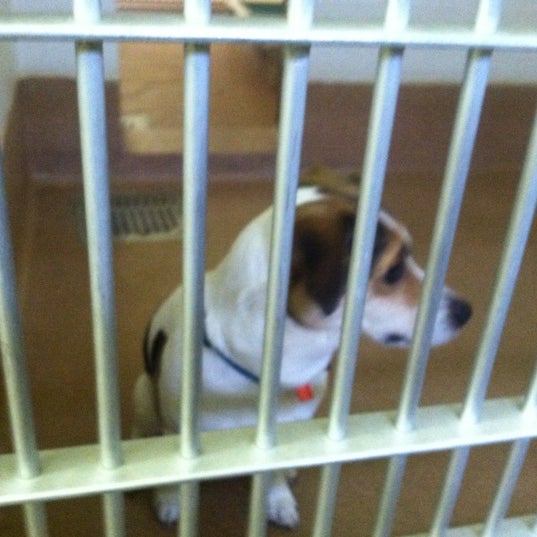 Humane Society of Northwestern Pennsylvania Animal Shelter