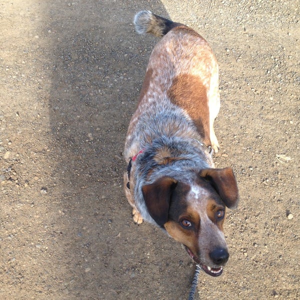 Photos at Spencer Butte Middle School Southeast Eugene 500 E 43rd Ave