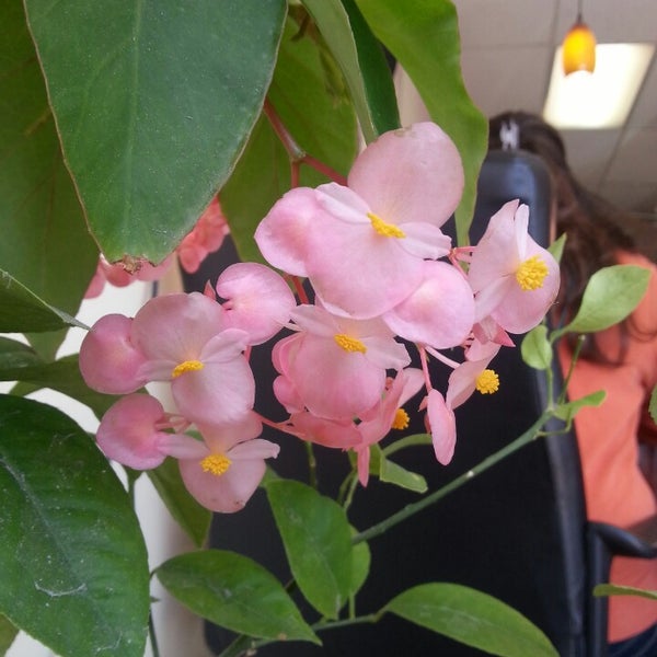 Nails Pro Edgewater, CO