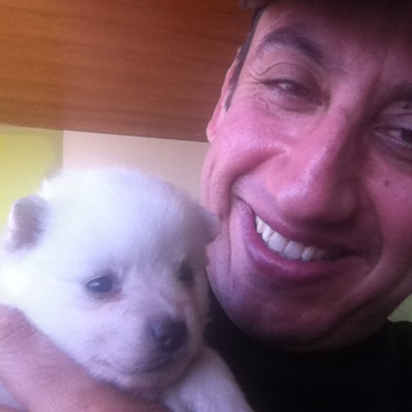 Lara dog. Lara dog