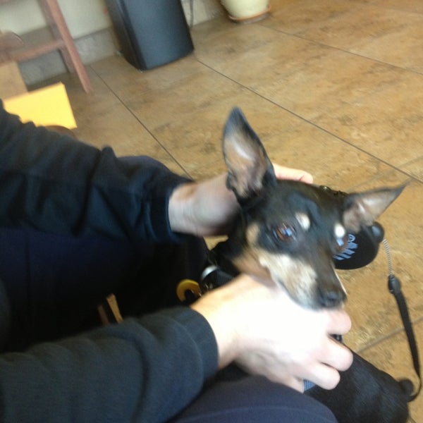 Photo taken at All Pets Animal Hospital &amp; 24 Hour Emergency Care by Jose F. on 2/27/2013