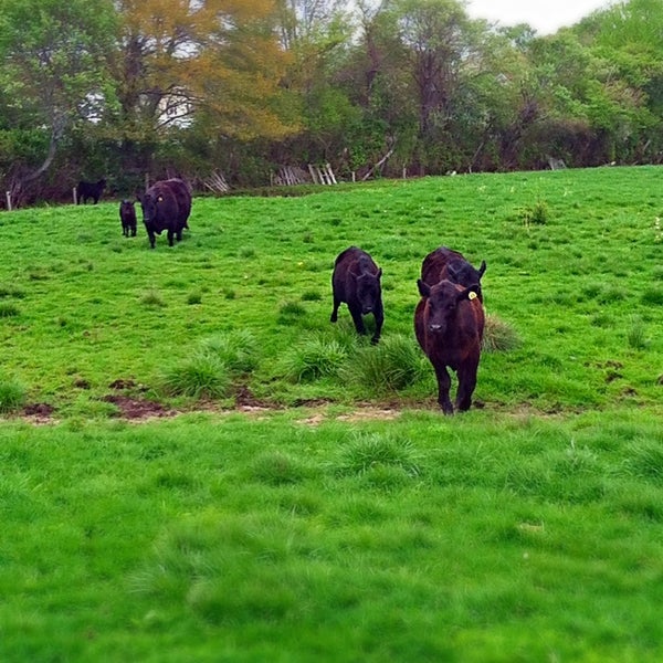 Morris Farm Farm in Warwick