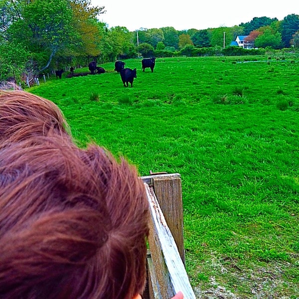 Morris Farm Farm in Warwick