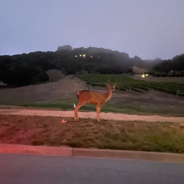 Foto diambil di Carmel Valley Ranch oleh Allen J. pada 8/18/2022