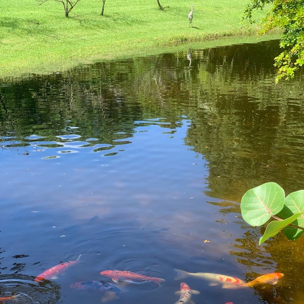 Photo taken at Morikami Museum And Japanese Gardens by MJ on 8/24/2019