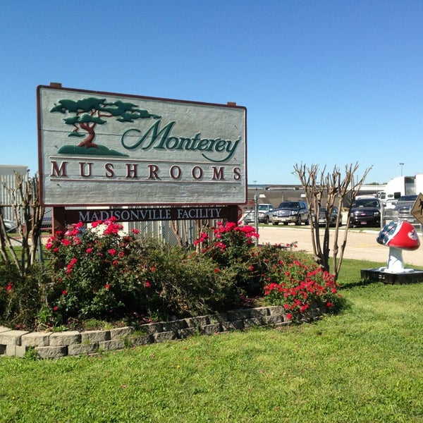 monterey mushrooms Factory in Madisonville
