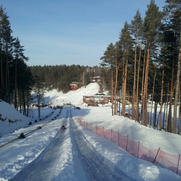 Сайт кулиги парка