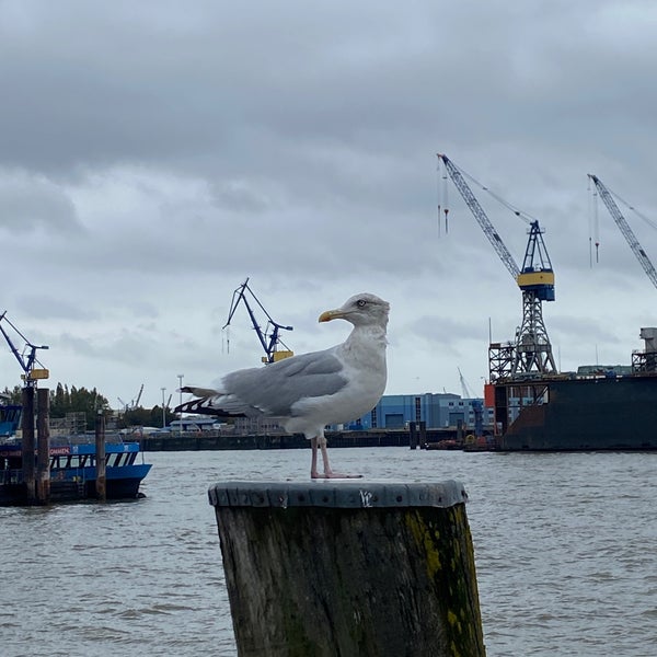 10/22/2023にYury E.がハンブルク港で撮った写真