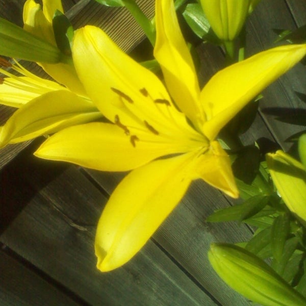 Iliff and Tower Aurora Knolls Hutchinson Heights 0 tips