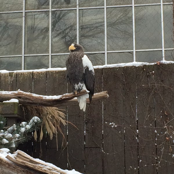 1/2/2018 tarihinde Hana S.ziyaretçi tarafından National Aviary'de çekilen fotoğraf
