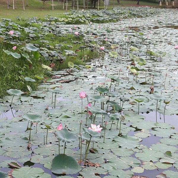 Ara Damansara Park - Park in Petaling Jaya