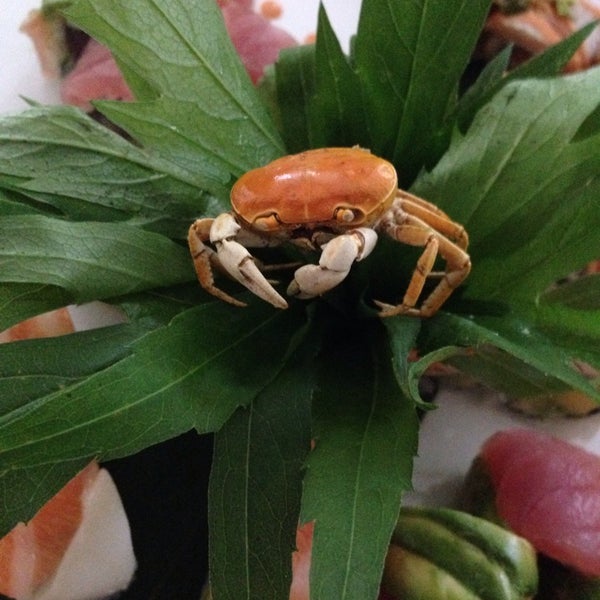Baby crab atop our sushi!
