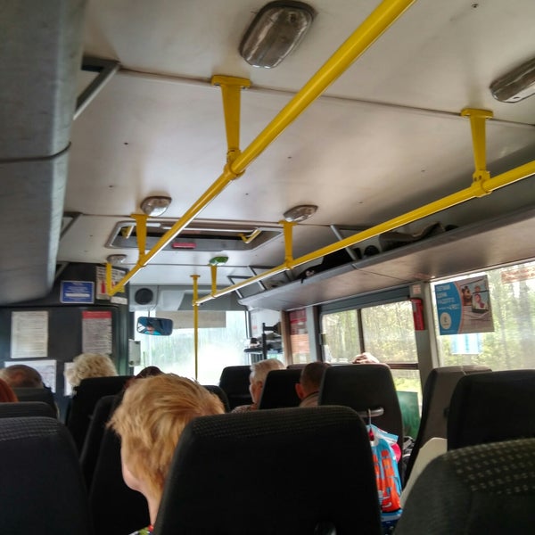 автобус 565 дыбенко