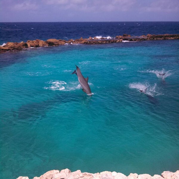 Foto tirada no(a) Dolphin Academy por Lourdes L. em 7/18/2014