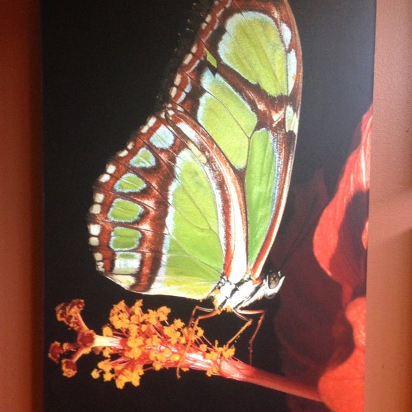 3/30/2013 tarihinde Mudassar L.ziyaretçi tarafından Butterfly House at Faust County Park'de çekilen fotoğraf