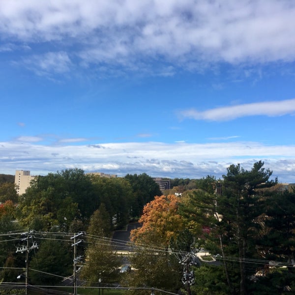 North Bethesda, Maryland Neighborhood