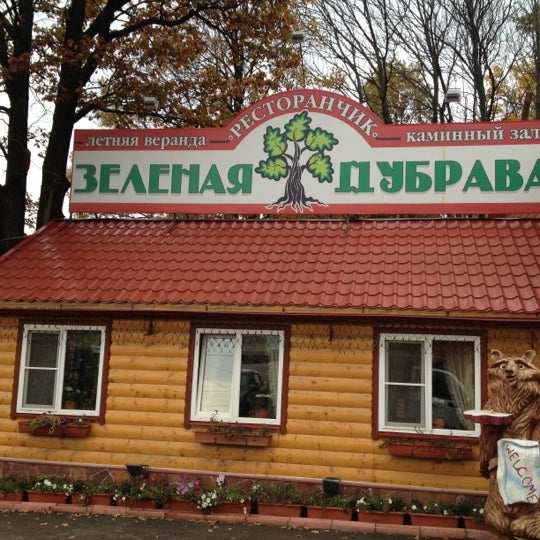 Зеленая дубрава фото