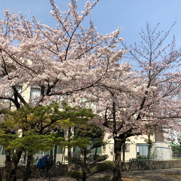 堺市立長尾中学校 Middle School In 堺市北区 堺市立長尾中学校 Middle School In 堺市北区