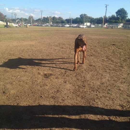 Photos at Orange Dog Park 23 tips from 555 visitors