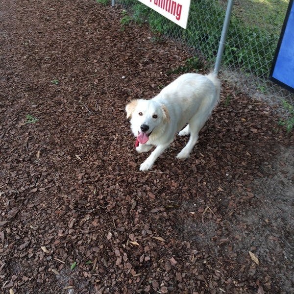 Millenium Dog Park Ocala, FL