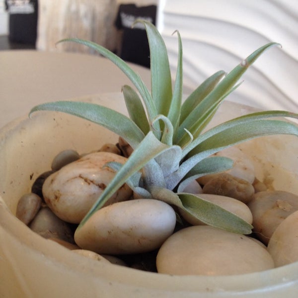 Adrift Float Spa Spa in Dallas