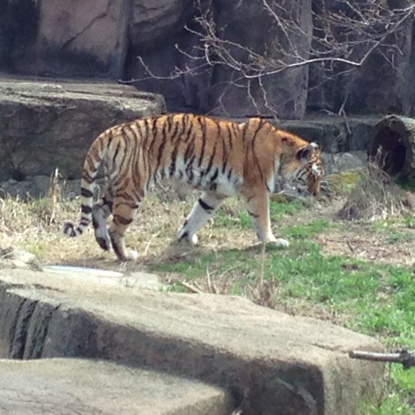 Photo taken at Lincoln Park Zoo by Hailey F. on 4/28/2013