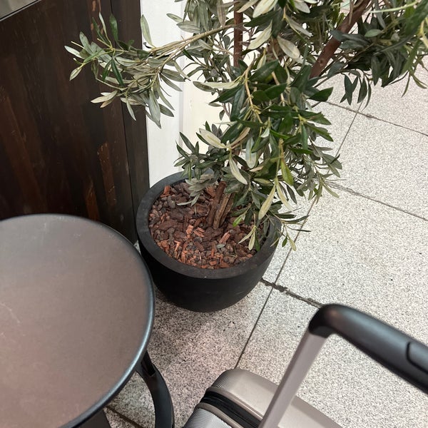 JOE & THE JUICE Juice Bar in Kastrup