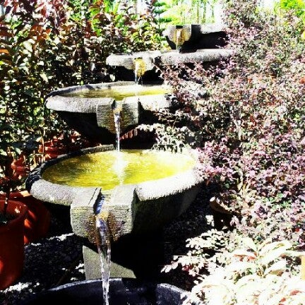 Kai Nguong Nursery Miri Sarawak