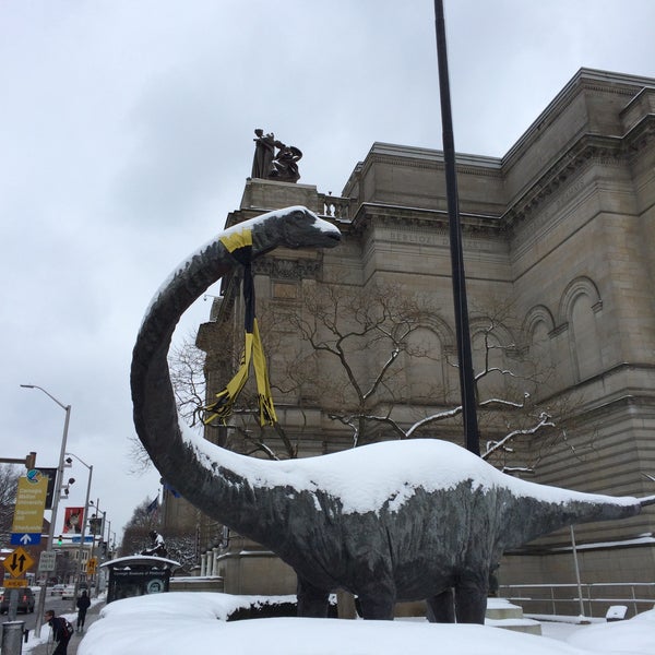 Photo taken at Dippy the Dinosaur (Diplodocus carnegii) by Mike S. on 1/27/2015