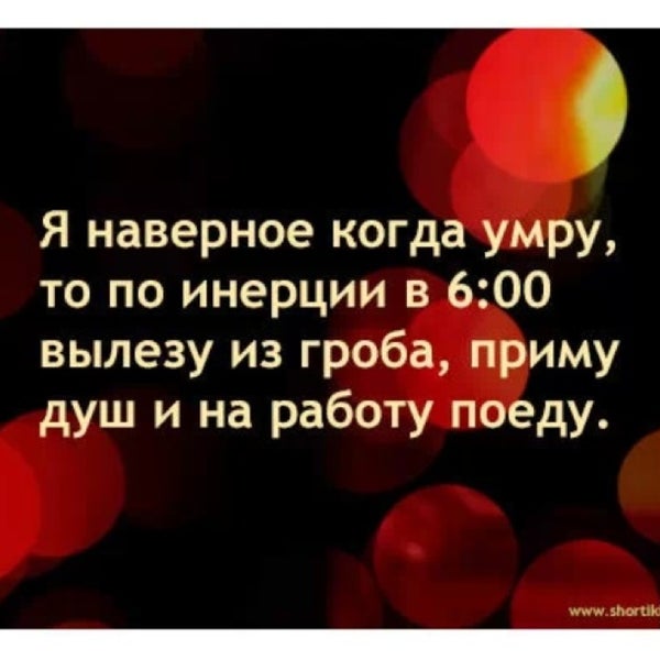 Если мог бы я мочь. Чтобы сказали животные если бы умели говорить. Подумай сколько всего ты мог бы сделать. Ну как тебе сказать. И если бы только при каждой мысли о тебе вырастал цветок.