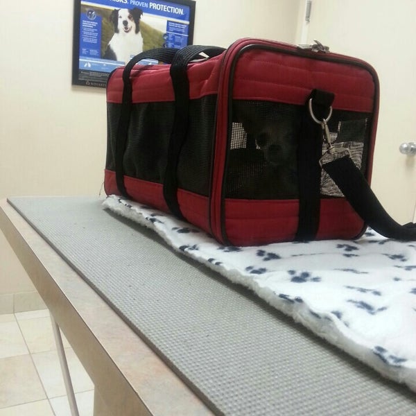 VCA Veterinary Care Hospital 1 tip