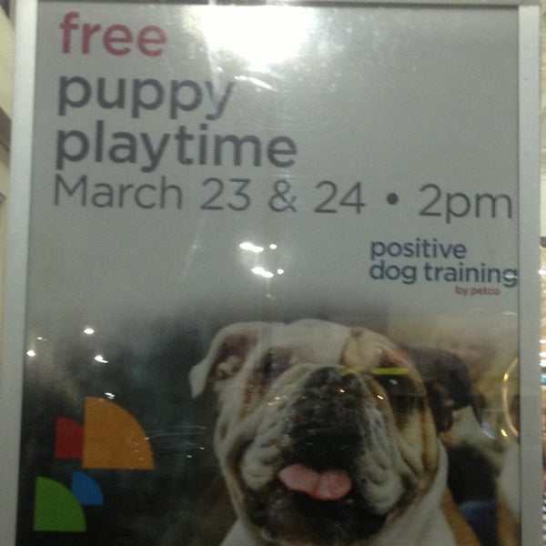 Is Puppy Playtime At Petco Free