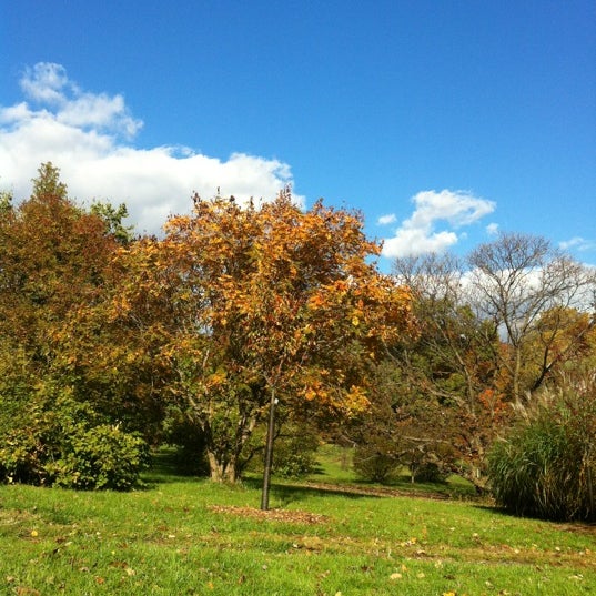 Photo taken at Cylburn Arboretum by Andrew B. on 10/21/2012