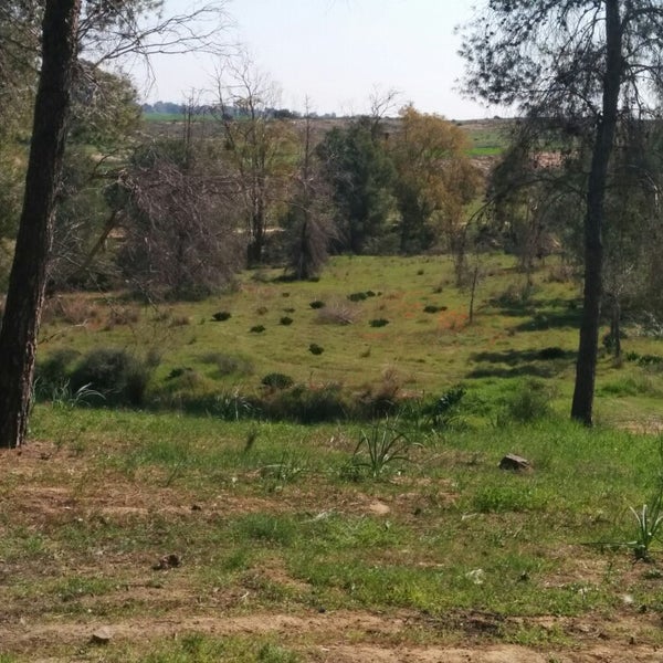 Photos At Kibbutz Be Eri קיבוץ בארי 1 Tip
