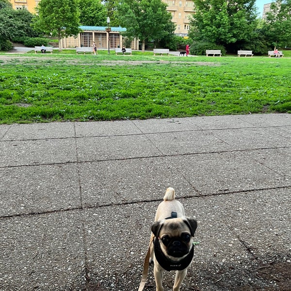 Photo taken at Meridian Hill Park by Kris on 5/14/2022