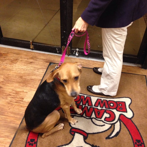 camp bow wow locations