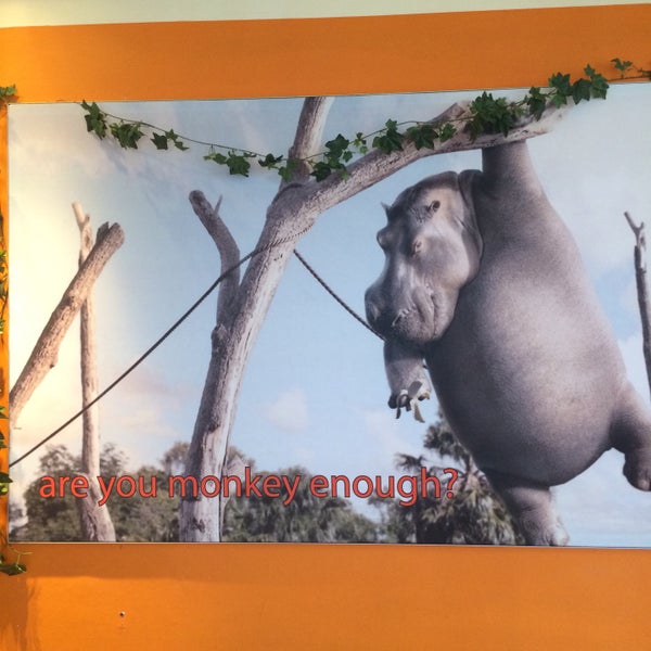 Foto scattata a Monkeys cafe.bar da Tatiana S. il 1/11/2015