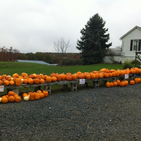 Sensenig Produce Farmers Market